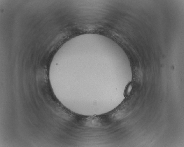 X0000077370612200611031913