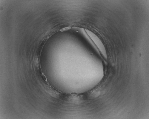 X0000077370613200611031913