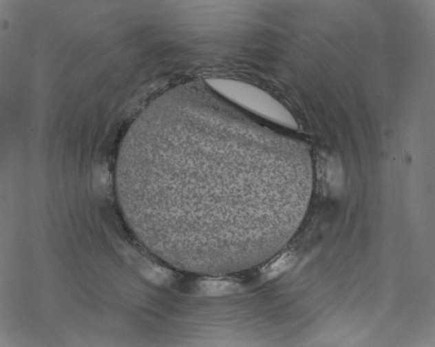 X0000077370614200611031913