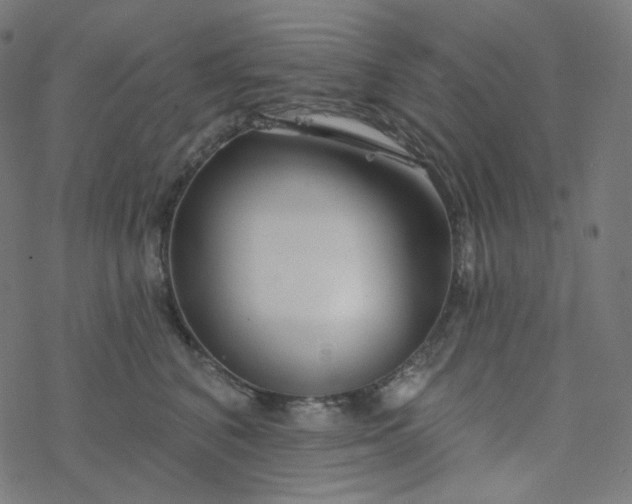 X0000077370616200611031913