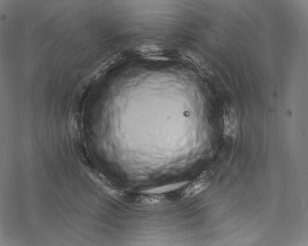 X0000077370618200611031913