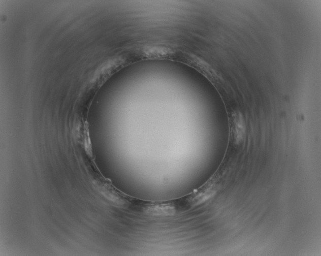 X0000077370619200611031913