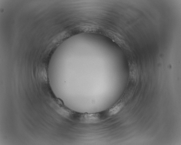 X0000077370622200611031913