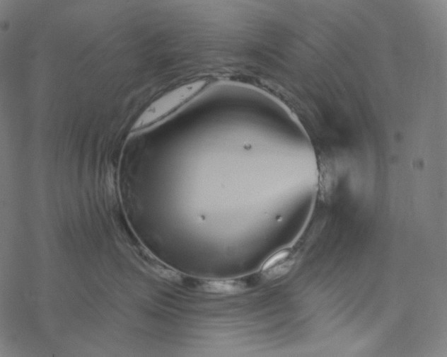 X0000077370623200611031913