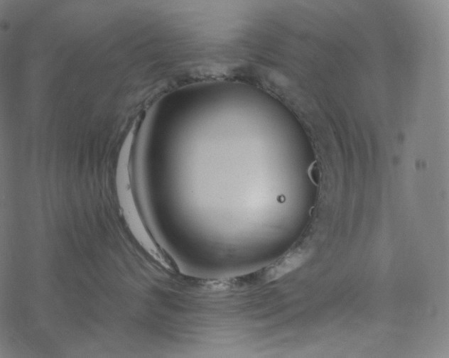 X0000077370624200611031913