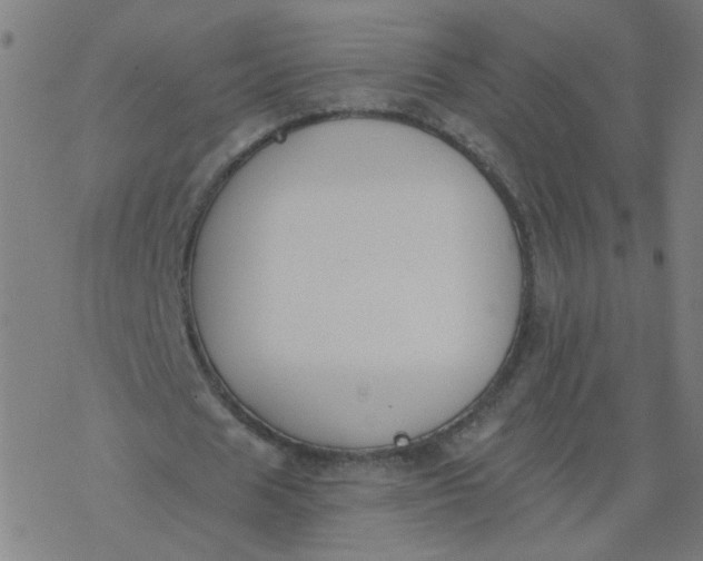 X0000077370625200611031912