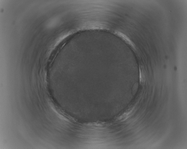 X0000077370627200611031912