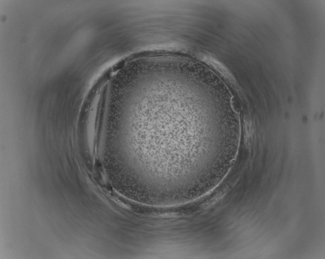 X0000077370628200611031912