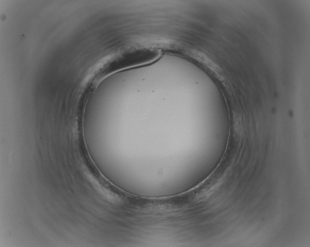 X0000077370629200611031912