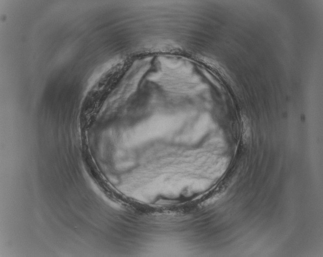 X0000077370630200611031912