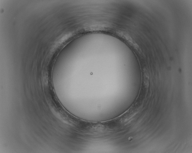 X0000077370631200611031912