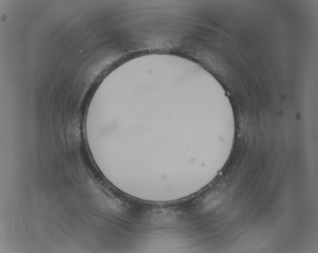 X0000077370632200611031912