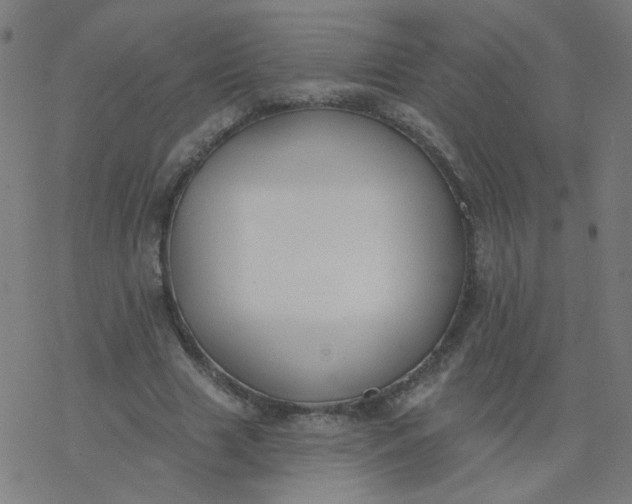 X0000077370633200611031912