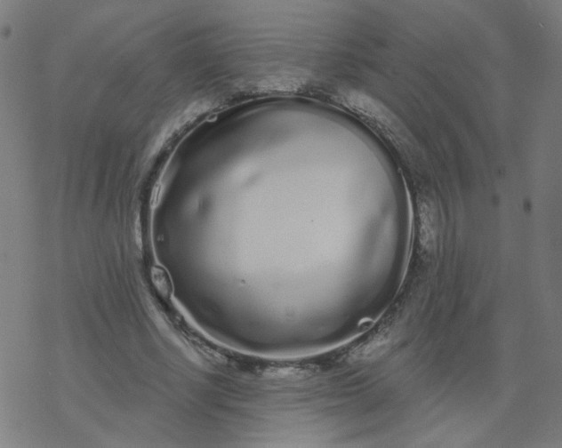 X0000077370634200611031912