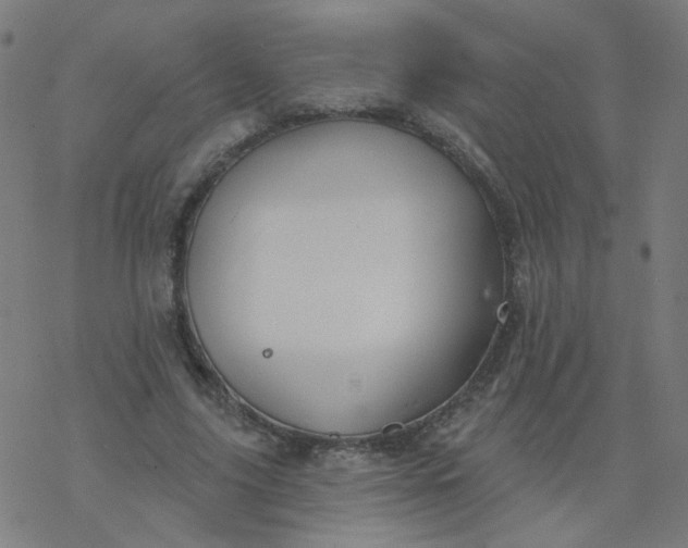 X0000077370635200611031912