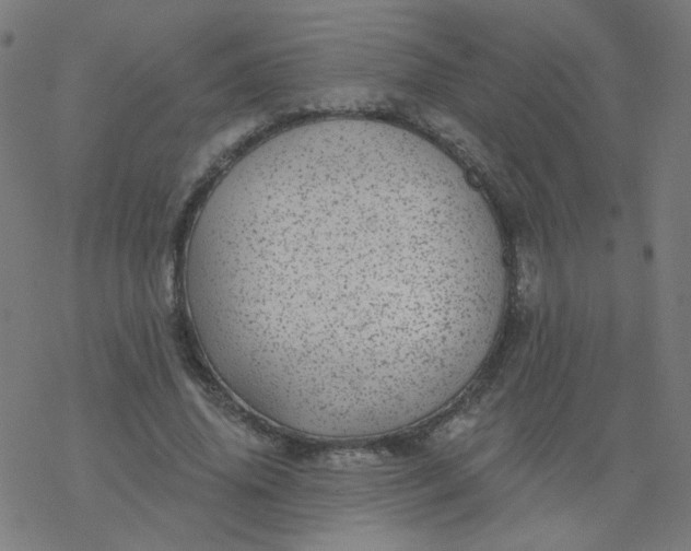 X0000077370636200611031912