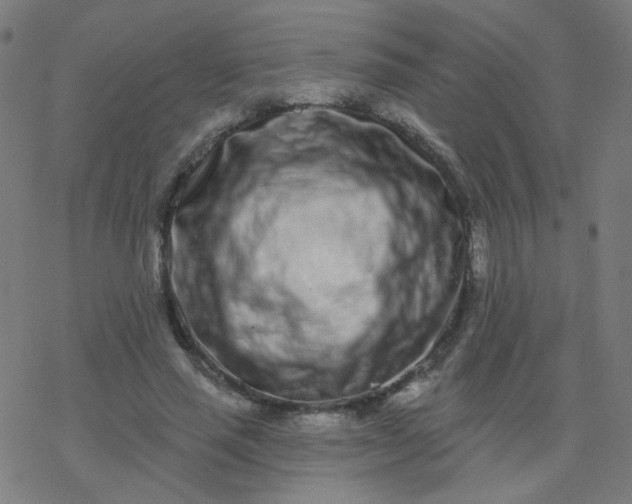 X0000077370637200611031912