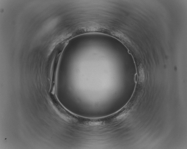 X0000077370638200611031912