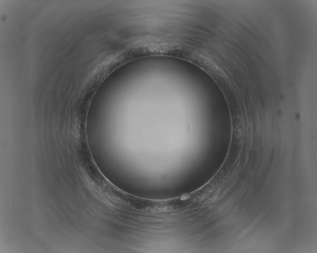 X0000077370639200611031912