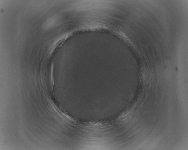 X0000077370640200611031912