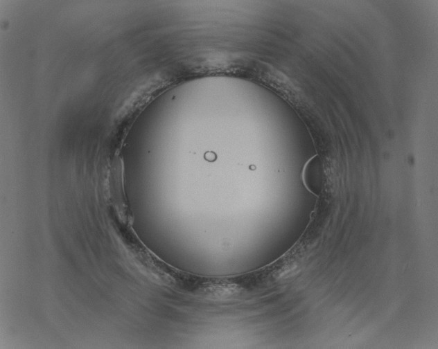 X0000077370642200611031912