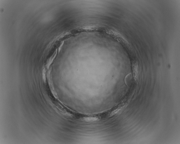 X0000077370644200611031912