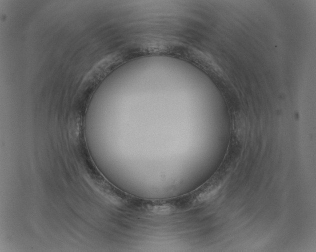 X0000077370645200611031912