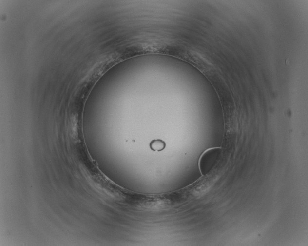 X0000077370646200611031912