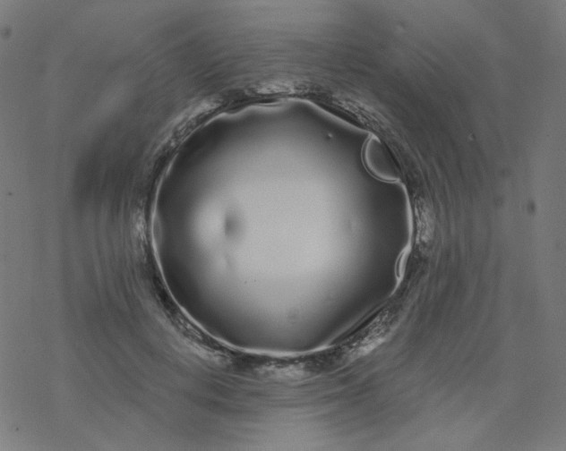 X0000077370648200611031912