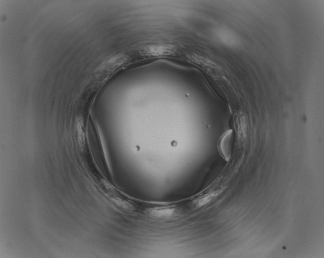 X0000077370651200611031912