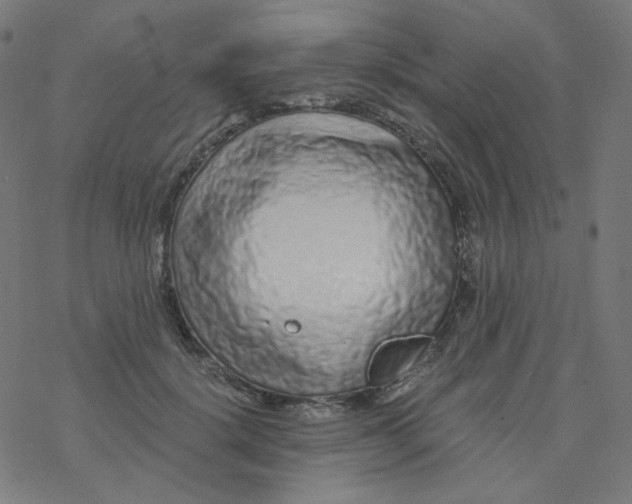 X0000077370652200611031912