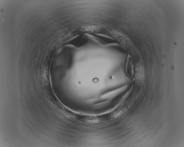 X0000077370653200611031912