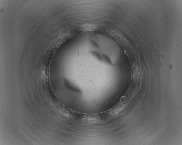 X0000077370655200611031912