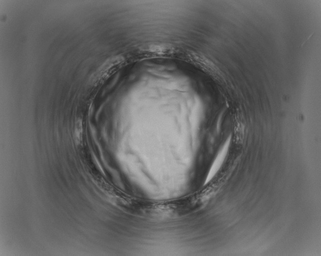 X0000077370656200611031912