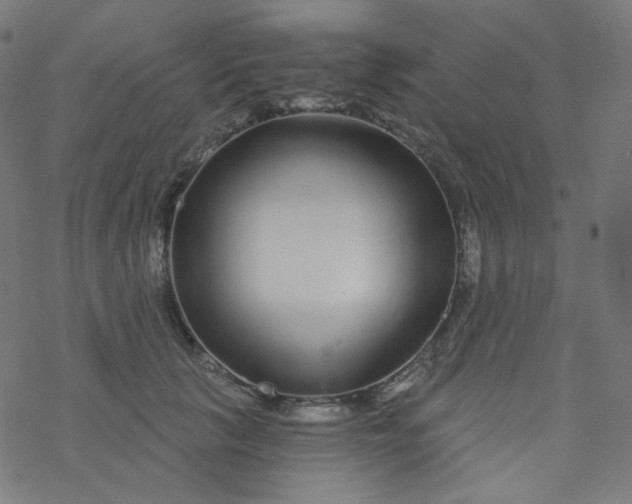 X0000077370657200611031912