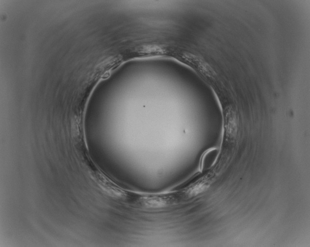 X0000077370658200611031912