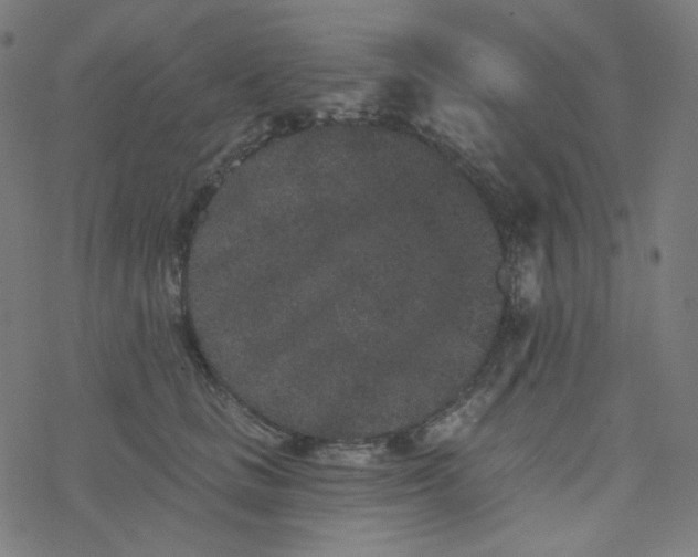 X0000077370661200611031912