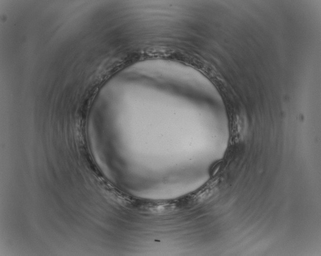 X0000077370663200611031912