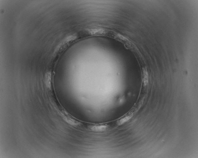 X0000077370664200611031912