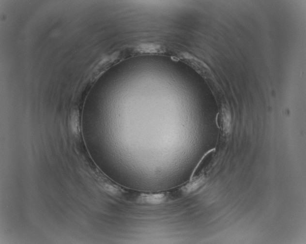 X0000077370665200611031912