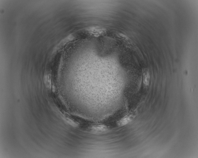 X0000077370666200611031912