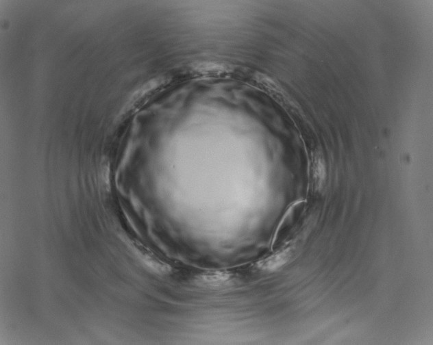 X0000077370668200611031913