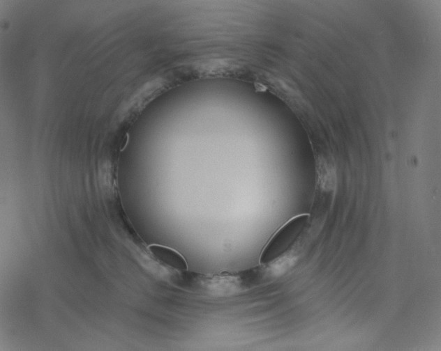 X0000077370670200611031913