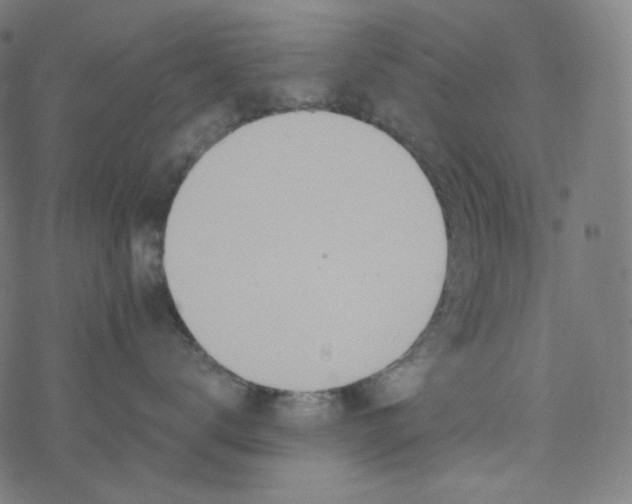 X0000077370672200611031913