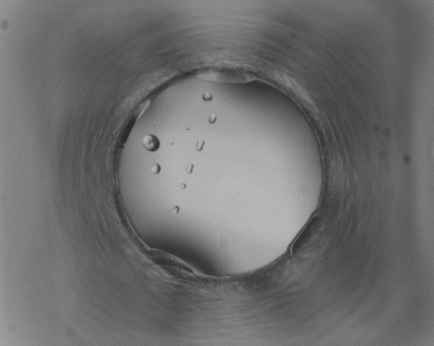 X0000077370673200611031912