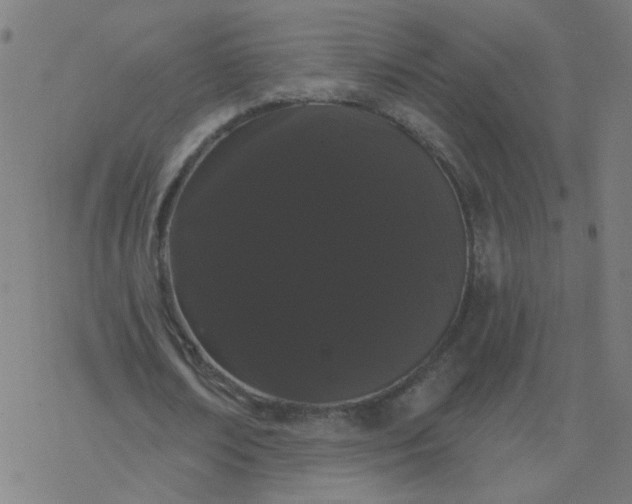 X0000077370674200611031912