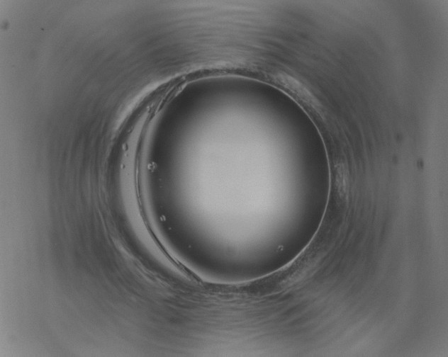 X0000077370676200611031912