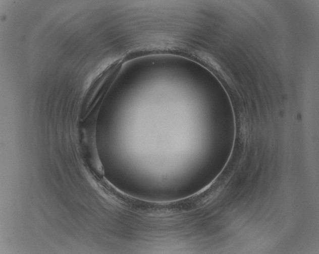 X0000077370677200611031912