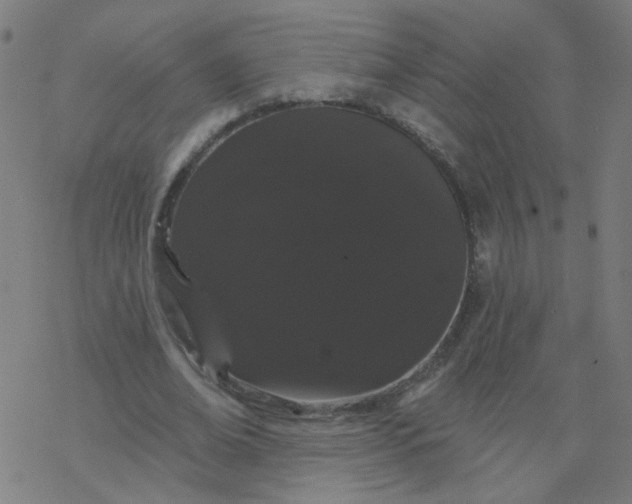 X0000077370678200611031912