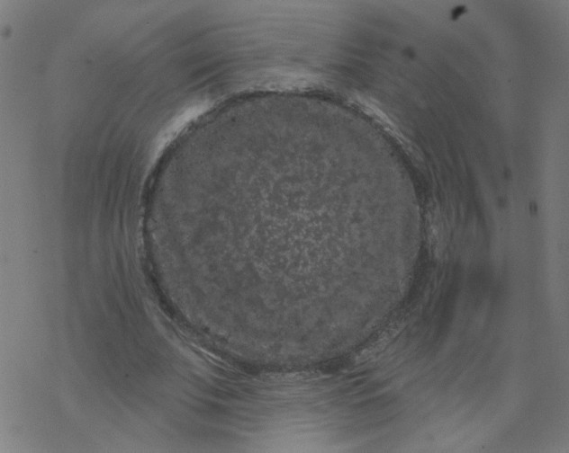 X0000077370679200611031912